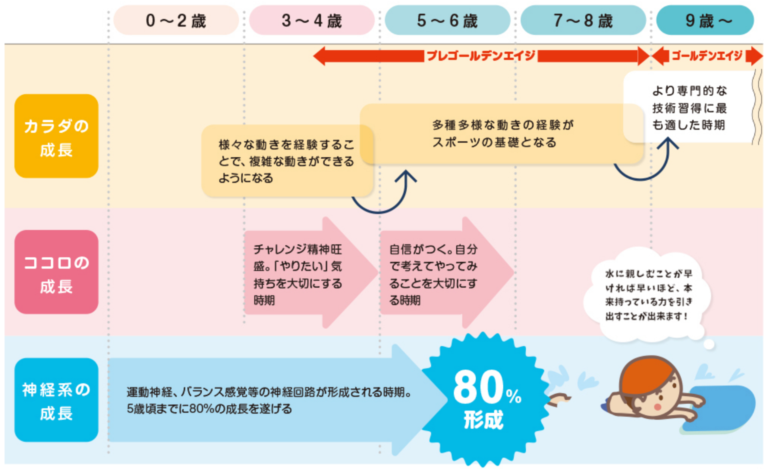 ゴールデンエイジまでに運動による刺激についてのグラフ