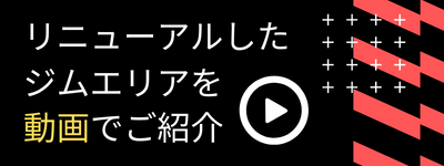 動画でご紹介